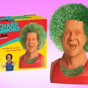 Lively Green Chia Pet Planter